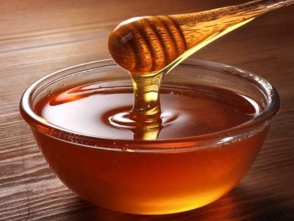  Honey Combs For Eating Cheap Walnut Hills Cary NC